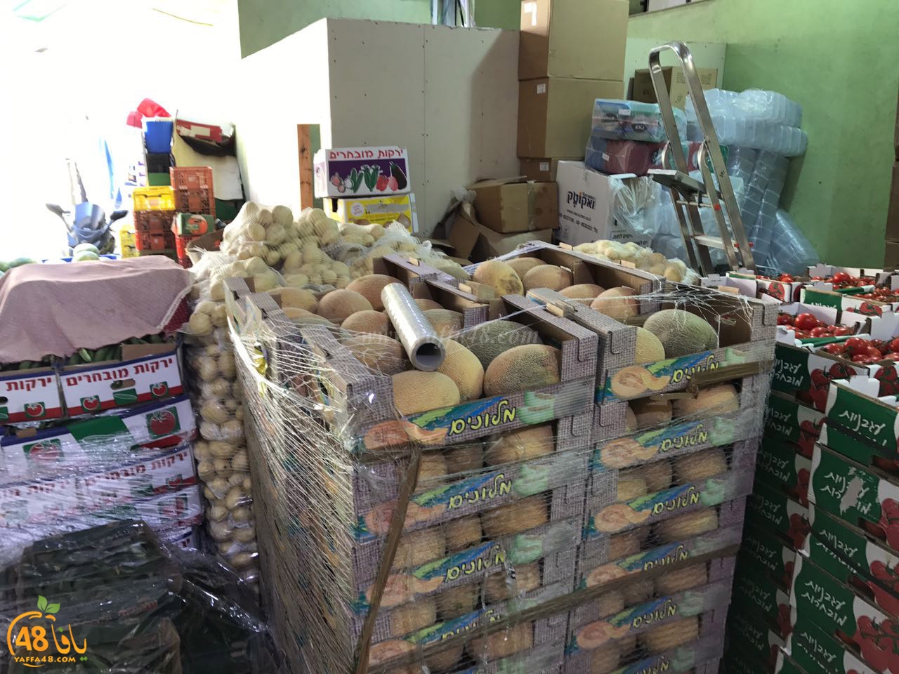 jam3iya ftotdord (5).jpg